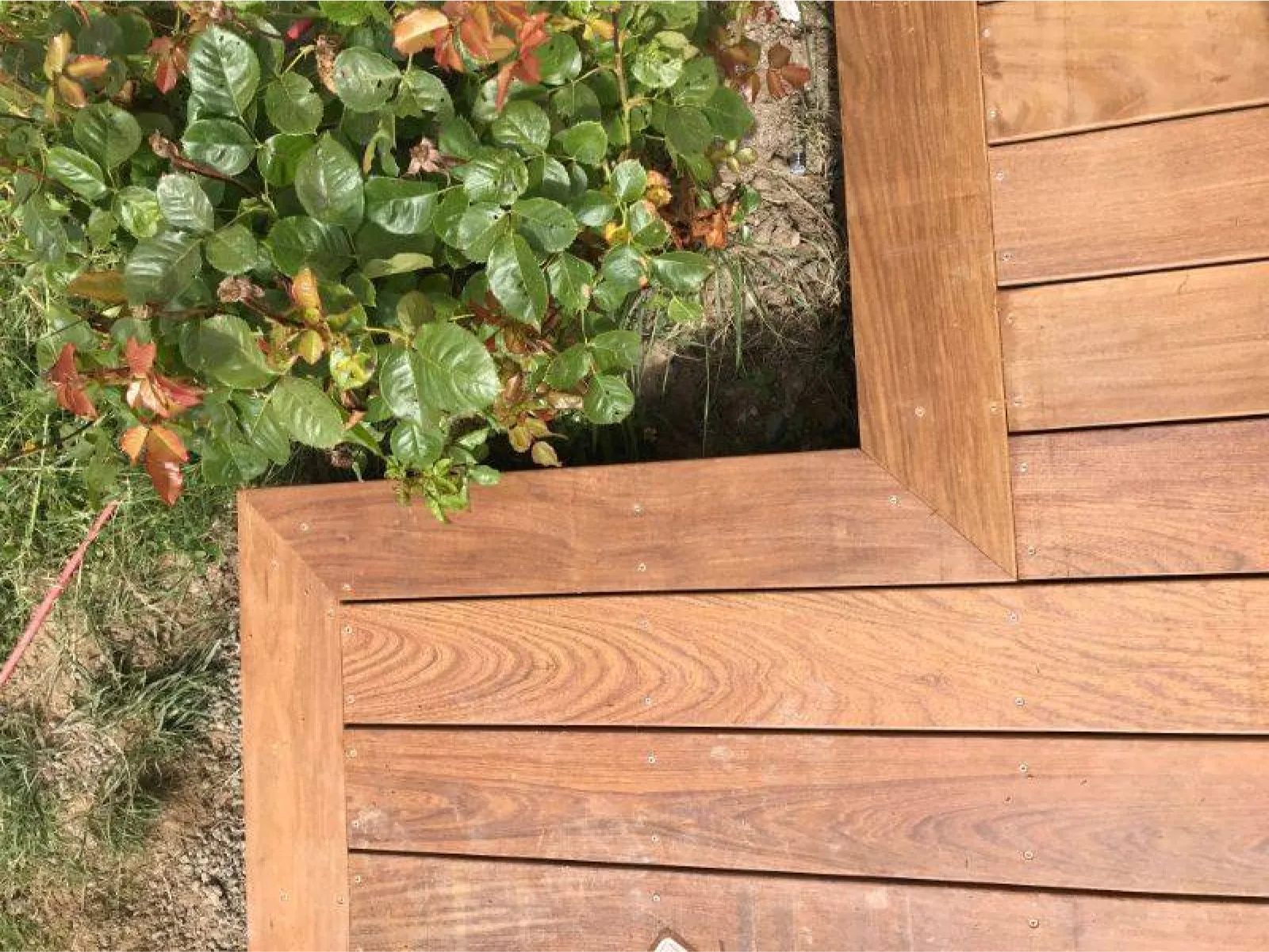 Dl Charpente Charpentier St Malo Terrasse Bois Sur Mesure Dinan Image 2